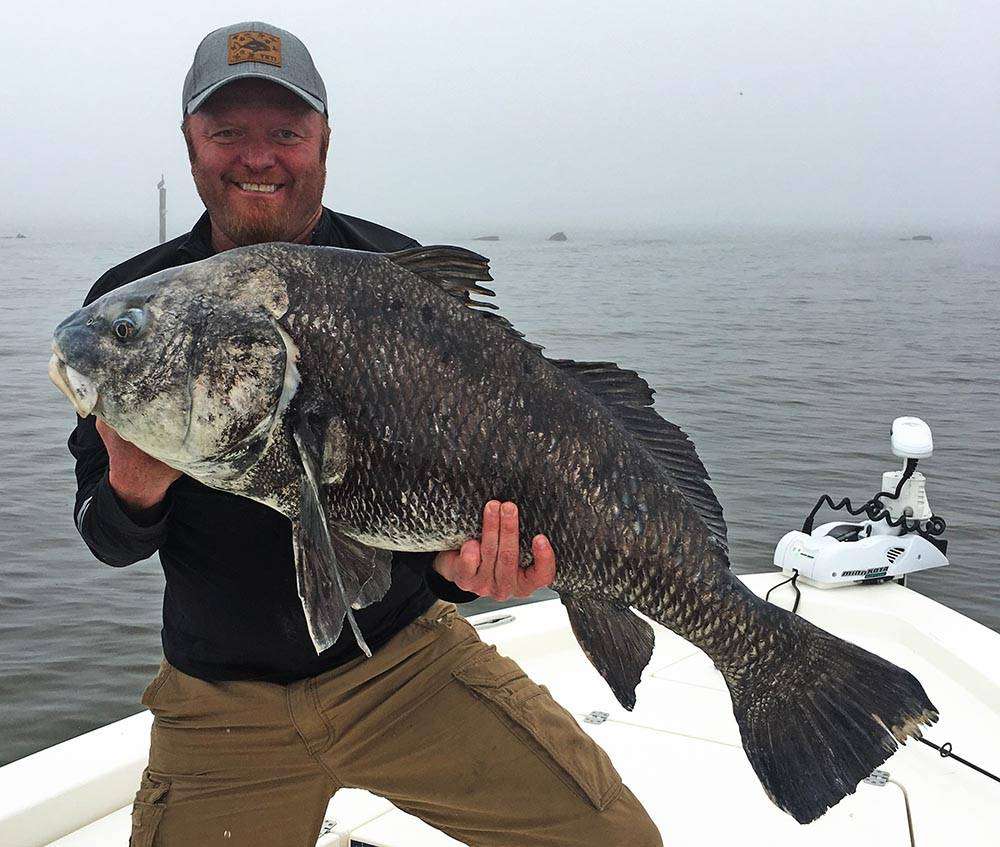 A picture of A Guide To The Most Common Fish In Gulfport with Legends of the Lower Marsh