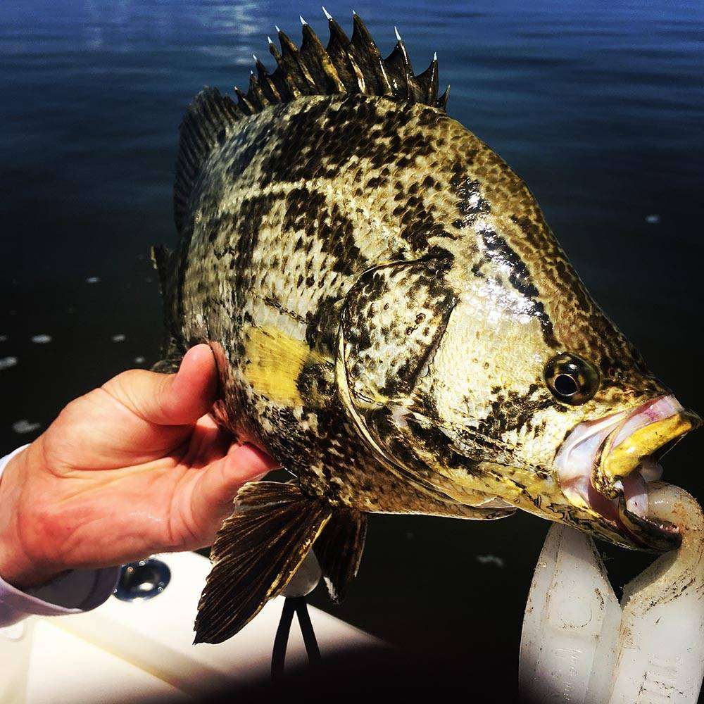 Fishing the Bay - On The Water