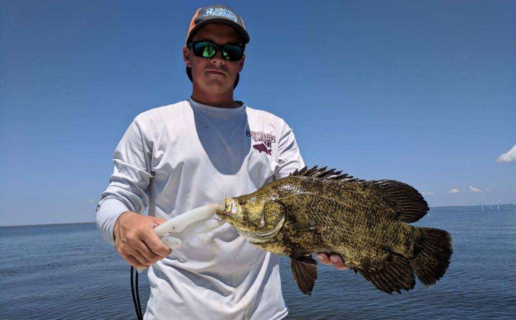 2023 Guide To Gulfport, MS Fishing