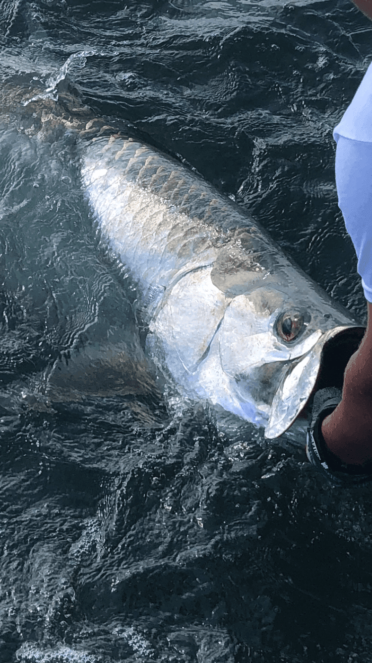 A picture of Biloxi Fishing Charters with Legends of the Lower Marsh