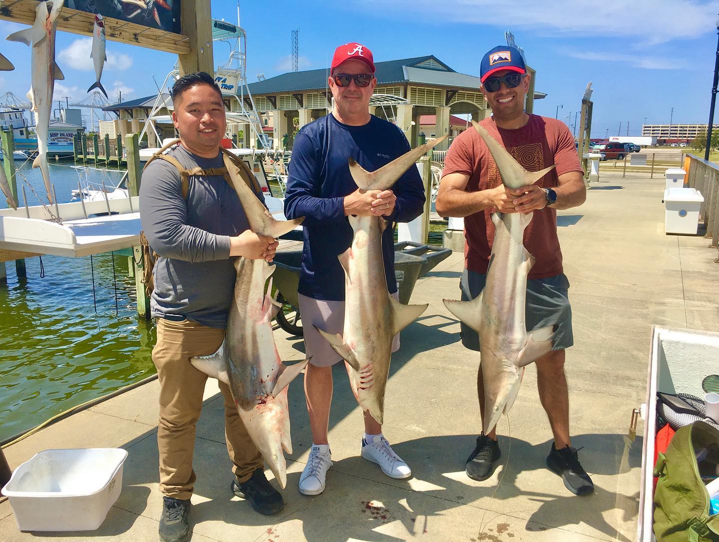 A picture of Blacktip Shark Fishing Gulfport with Legends of the Lower Marsh